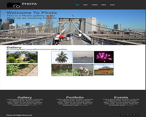 staten island web design and development